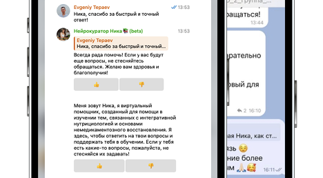 Нейрокуратор Ника