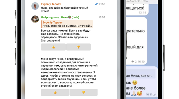 Нейрокуратор Ника