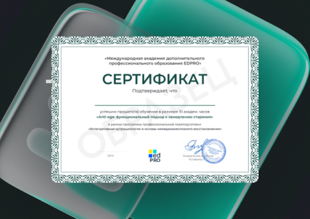 Сертификат после модуля