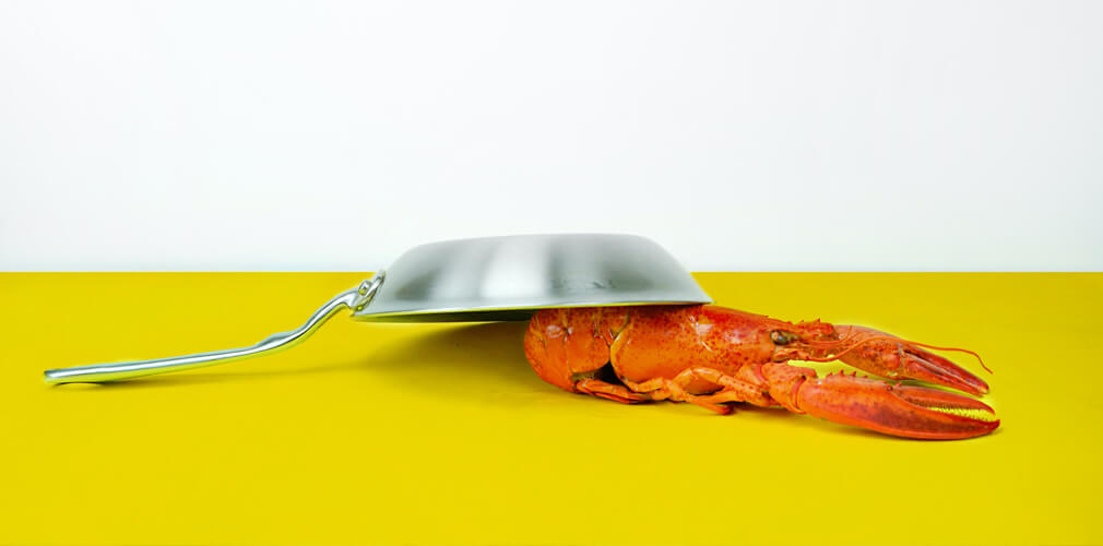 Астаксантин – что это, как принимать, польза и вред для организма человека