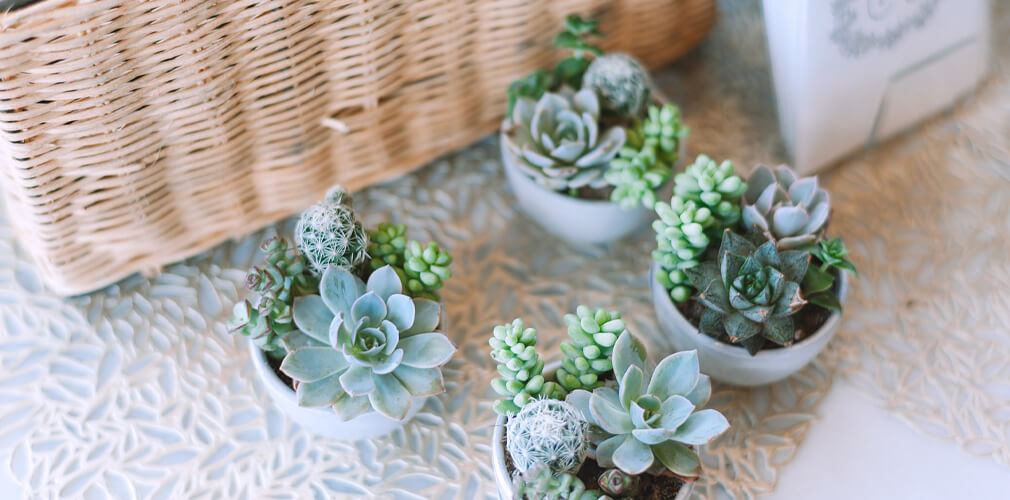 01 (1).jpg